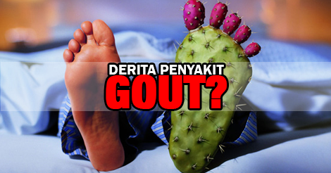 penyakit gout 