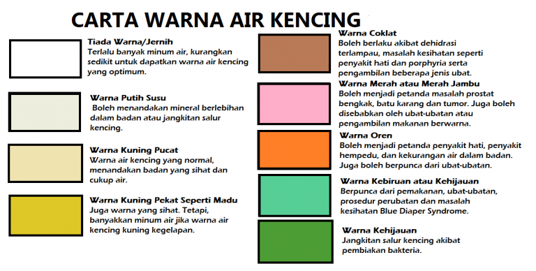 Kenali 9 Jenis Warna Air Kencing Untuk Ketahui Tahap Kesihatan Anda