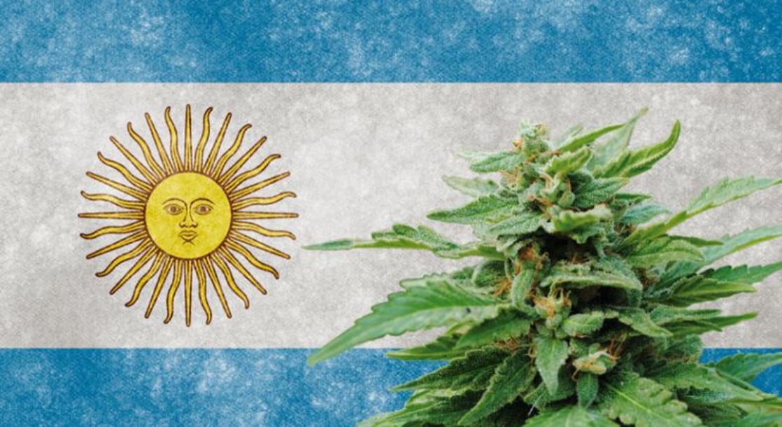 argentina merupakan antara negara yang membenarkan penggunaan ganja